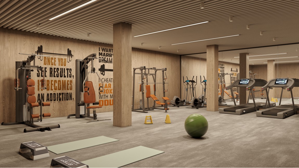 BOLD & FIT GYM CONCEPT